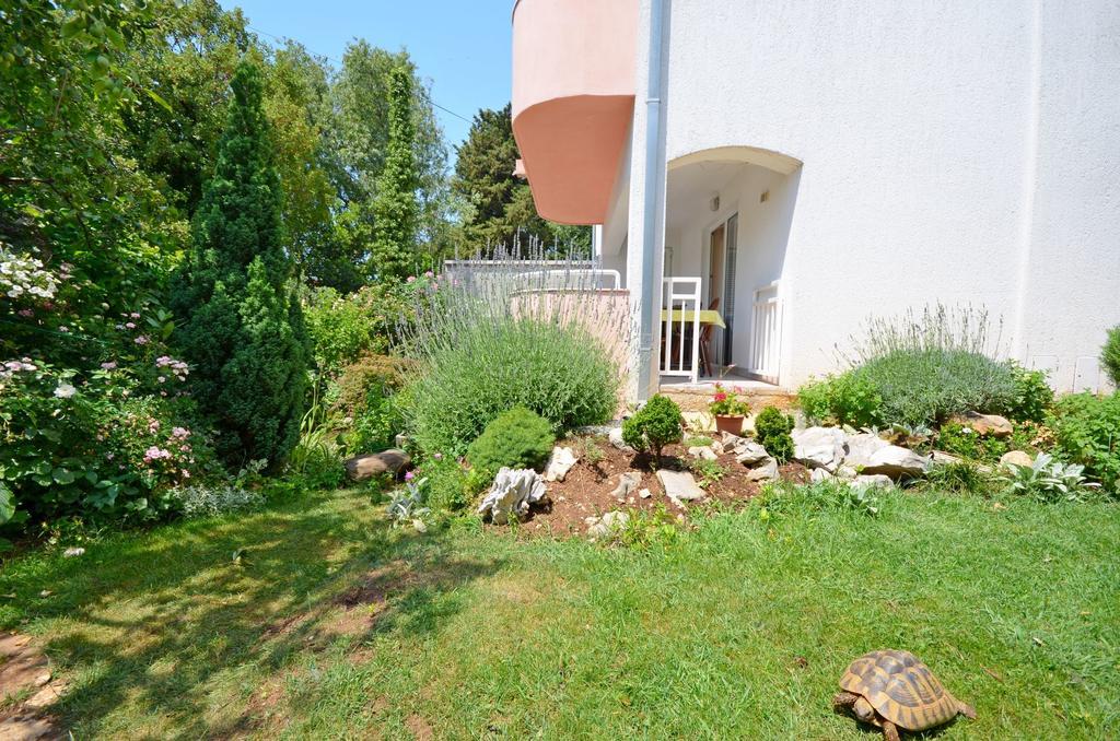 Apartments Snjezana Novi Vinodolski Esterno foto